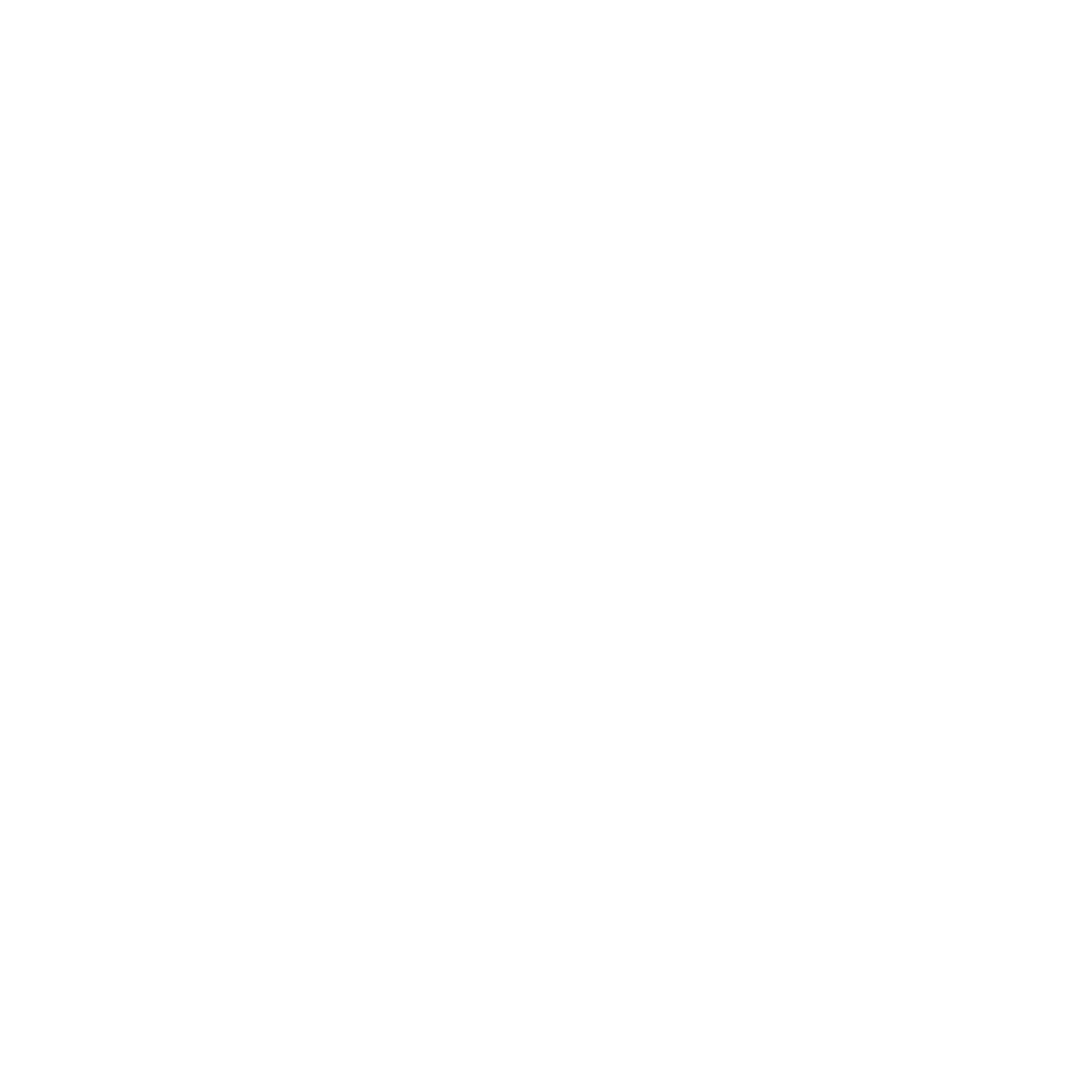 parking ticket